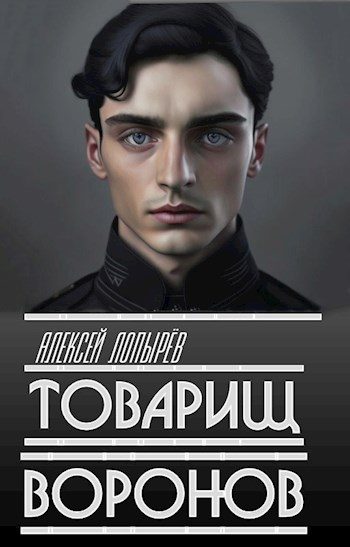 Обложка книги «Товарищ Воронов»