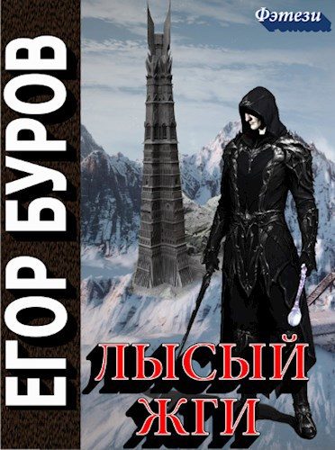 Обложка книги «Лысый жги»