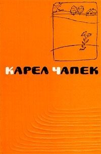 Обложка книги «Метеор»