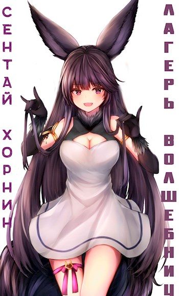 Обложка книги «Лагерь волшебниц №208 Том IV»