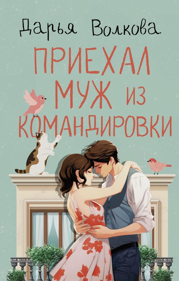 Обложка книги «Приехал муж из командировки»