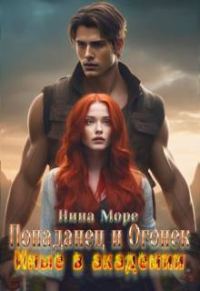 Обложка книги «Попаданец и Огонек: Иные в академии»