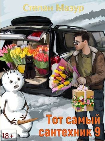 Обложка книги «Тот самый сантехник 9»