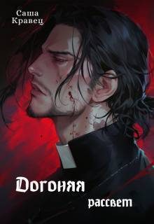 Обложка книги «Догоняя рассвет»