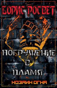 Обложка книги «Погружение в пламя»