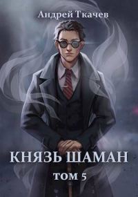 Обложка книги «Князь шаман. Том 5»