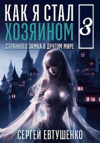Обложка книги «Как я стал хозяином странного замка в другом мире. Книга 3»