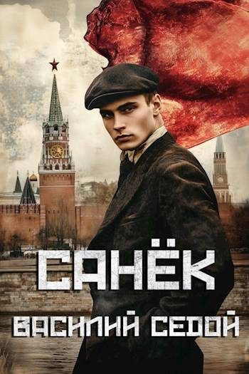Обложка книги «Санек 1»