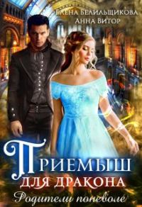 Обложка книги «Приемыш для дракона. Родители поневоле»