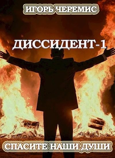 Обложка книги «Спасите наши души»