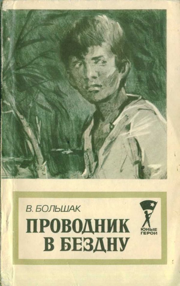Обложка книги «Проводник в бездну»