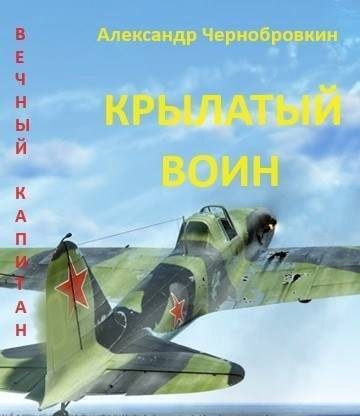 Обложка книги «Крылатый воин»