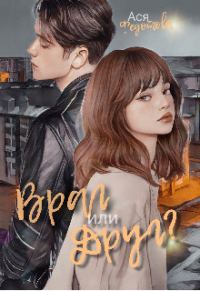 Обложка книги «Враг или Друг?»