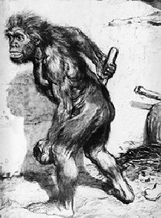 Обложка книги «Аналитическая записка о событиях во Франции осенью 2005 года»