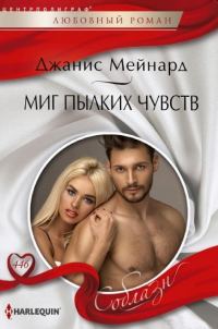 Обложка книги «Миг пылких чувств»