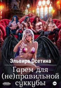 Обложка книги «Гарем для (не) правильной суккубы 1»