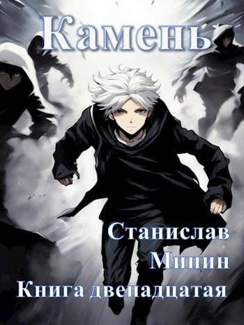 Обложка книги «Камень. Книга 12»