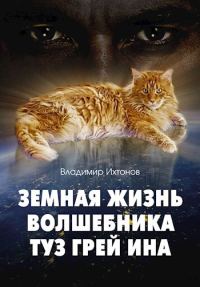 Обложка книги «Земная жизнь волшебника Туз Грей Ина»