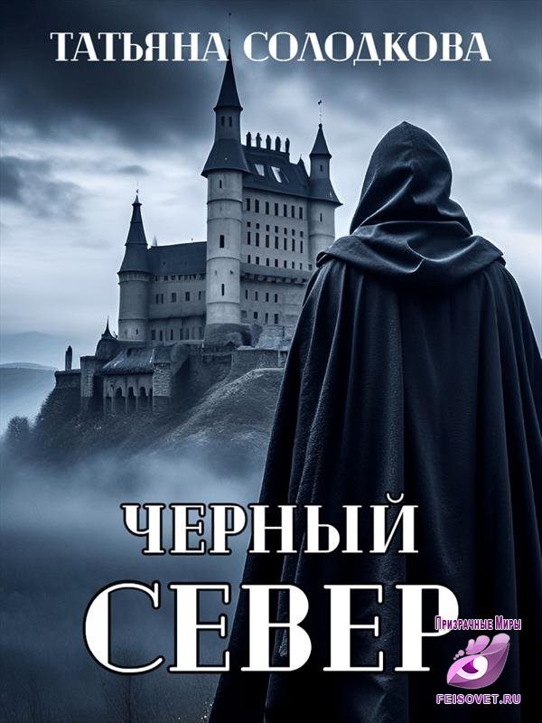 Обложка книги «Черный север»