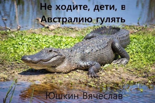 Обложка книги «Не ходите, дети, в Австралию гулять»