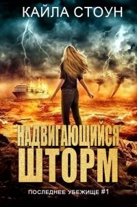 Обложка книги «Надвигающийся шторм»
