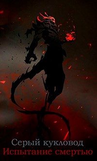 Обложка книги «Испытание смертью»