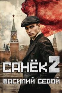 Обложка книги «Санек 2»