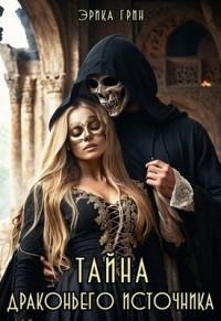 Обложка книги «Тайна Драконьего Источника»