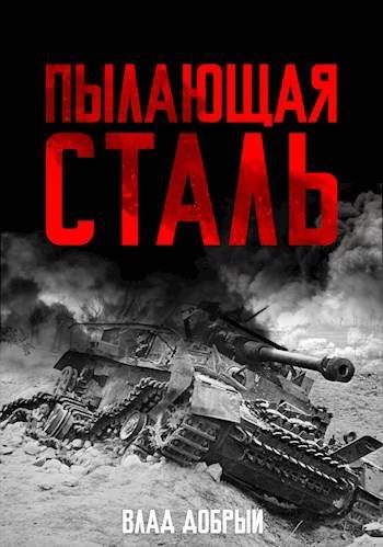 Обложка книги «Пылающая сталь»