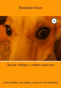 Обложка книги «Лысая собака с синим хвостом, или, Хозяйка, ты спишь, а мы тут всё уронили!»