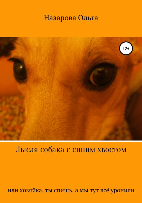 Обложка книги «Лысая собака с синим хвостом, или, Хозяйка, ты спишь, а мы тут всё уронили!»