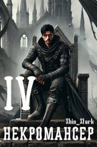 Обложка книги «Вы призвали… некроманта! Том 4»