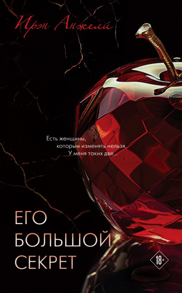 Обложка книги «Его большой секрет»