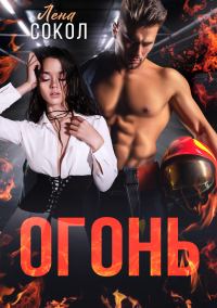 Обложка книги «Огонь»