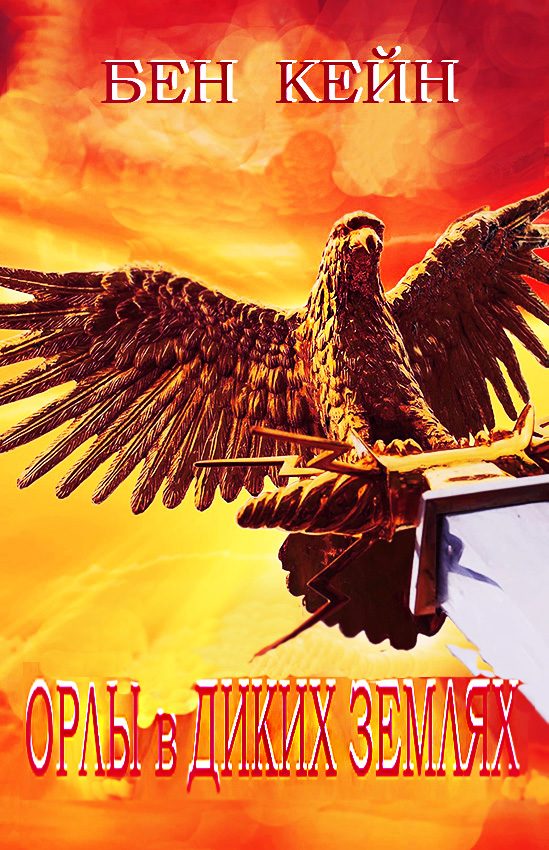 Обложка книги «Орлы в Диких землях»