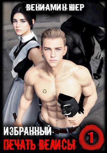 Обложка книги «Печать Велисы 1. Избранный»