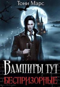 Обложка книги «Вампиры тут беспризорные»