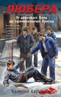 Обложка книги «Любера. От дворовых банд до криминальных бригад»