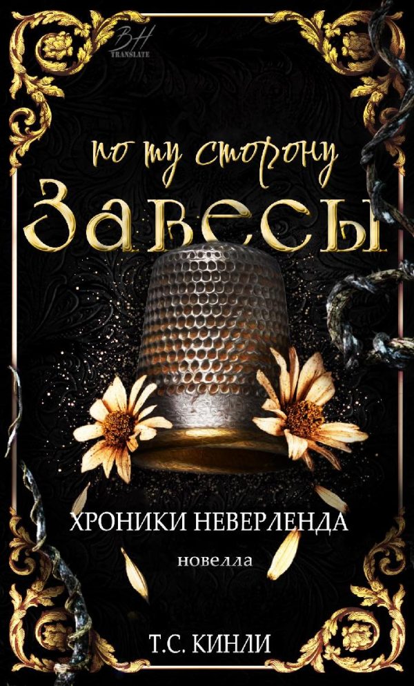 Обложка книги «По ту сторону Завесы»