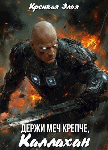 Обложка книги «Держи меч крепче, Каллахан»