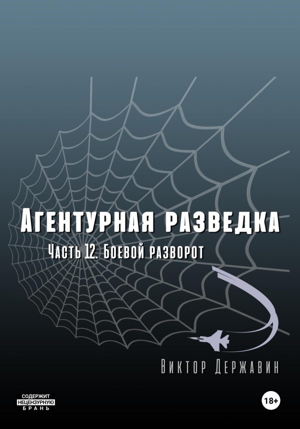Обложка книги «Боевой разворот»