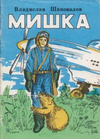 Обложка книги «Мишка»