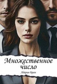 Обложка книги «Множественное число»