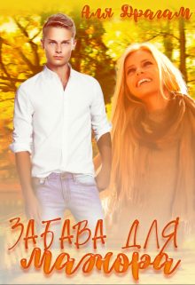 Обложка книги «Забава для мажора»