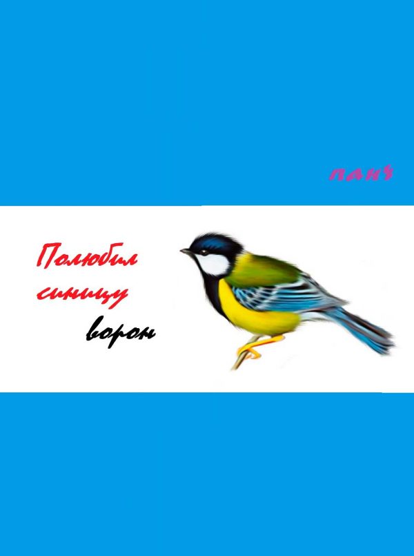 Обложка книги «Полюбил синицу ворон…»