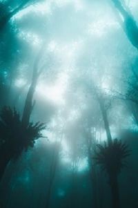 Обложка книги «Буйный рост»