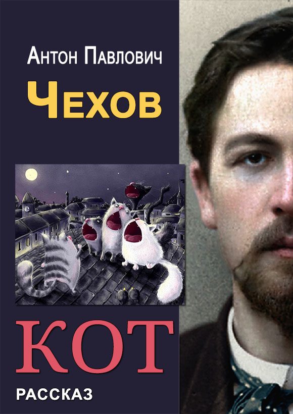 Обложка книги «Кот»