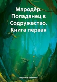 Обложка книги «Попаданец в Содружество»