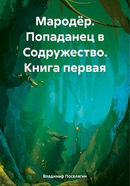 Обложка книги «Попаданец в Содружество»