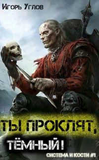 Обложка книги «Ты проклят, Тёмный!»